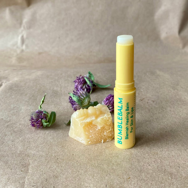 Multi-Purpose Lip Balm | Clove + Tea Tree